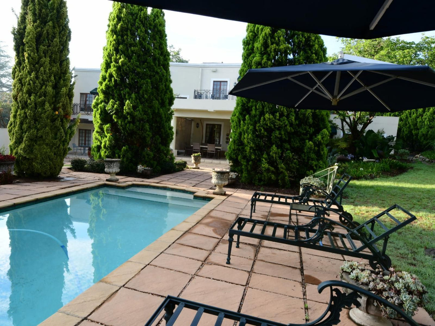 Highgrove Guesthouse Morningside Jhb Johannesburg Gauteng South Africa House, Building, Architecture, Garden, Nature, Plant, Living Room, Swimming Pool