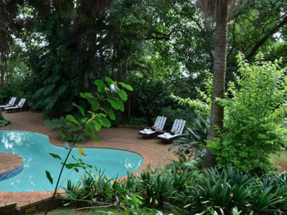 Highgrove House Country Hotel, Palm Tree, Plant, Nature, Wood, Garden, Swimming Pool