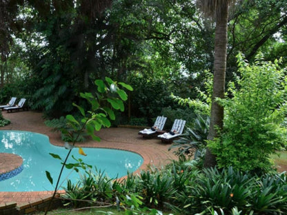 Highgrove House Kiepersol Mpumalanga South Africa Palm Tree, Plant, Nature, Wood, Garden, Swimming Pool