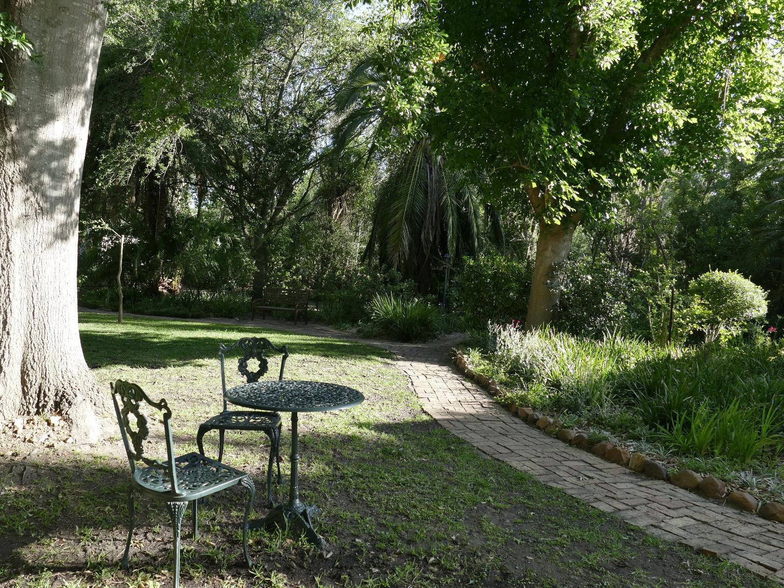 High Hopes Retreats And Guest House Greyton Western Cape South Africa Plant, Nature, Garden
