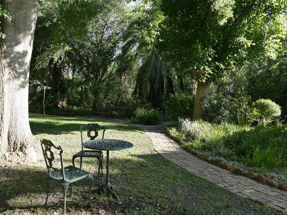 High Hopes Retreats And Guest House Greyton Western Cape South Africa Plant, Nature, Garden