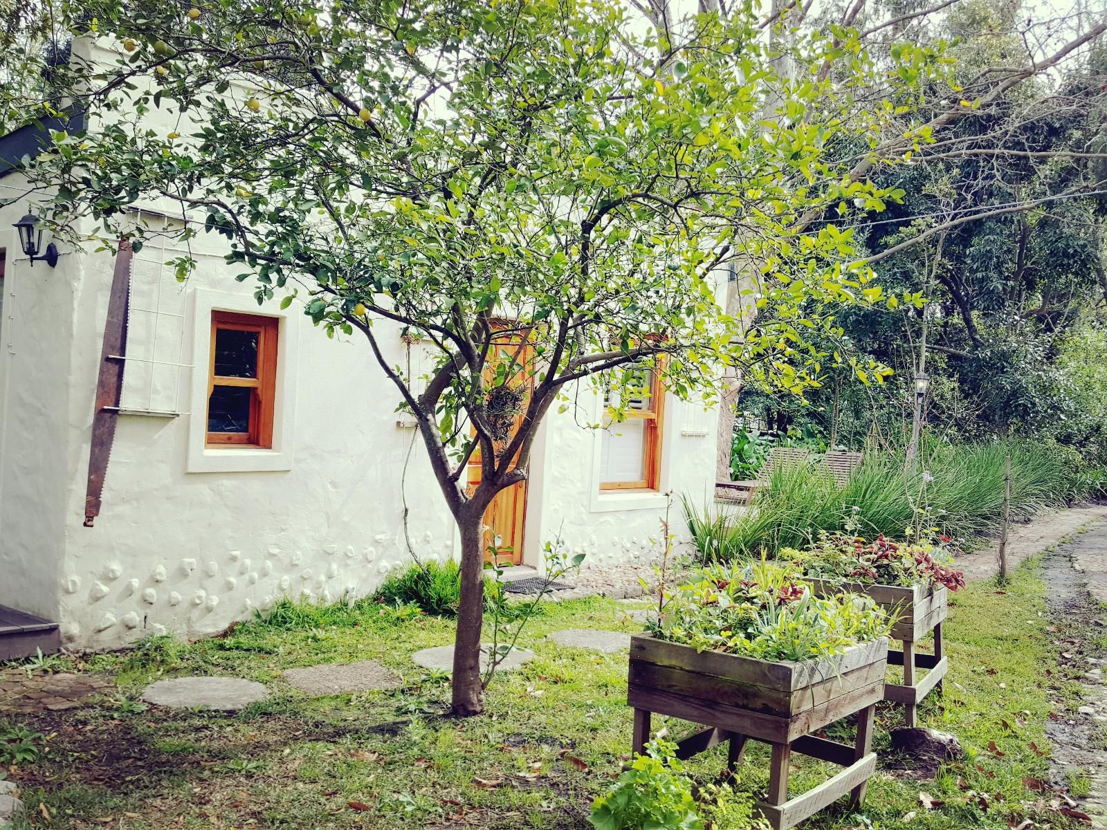 High Hopes Retreats And Guest House Greyton Western Cape South Africa House, Building, Architecture, Plant, Nature, Tree, Wood, Garden