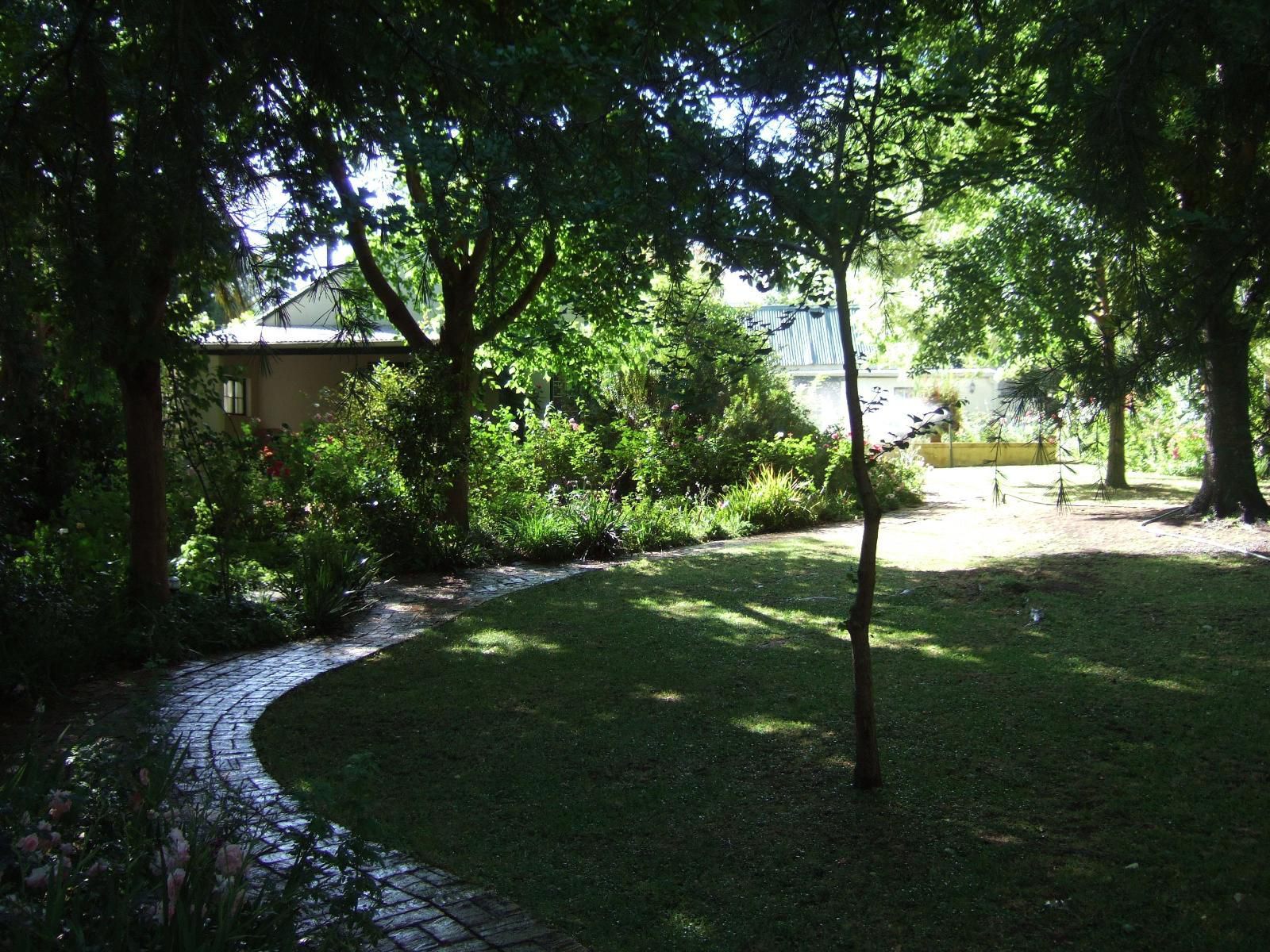 High Hopes Retreats And Guest House Greyton Western Cape South Africa Plant, Nature, Tree, Wood, Garden