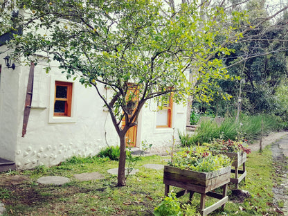 Lime Tree @ High Hopes Retreats And Guest House