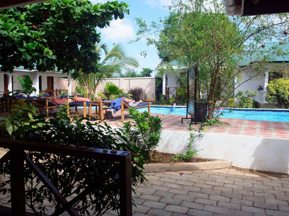 Highland Bungalows, Palm Tree, Plant, Nature, Wood, Swimming Pool