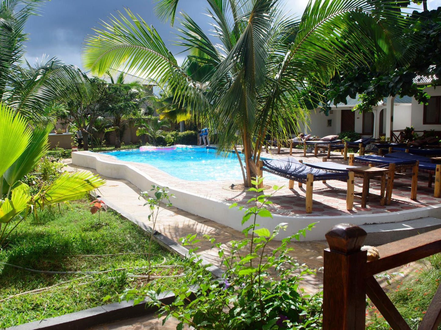 Highland Bungalows, Palm Tree, Plant, Nature, Wood, Swimming Pool