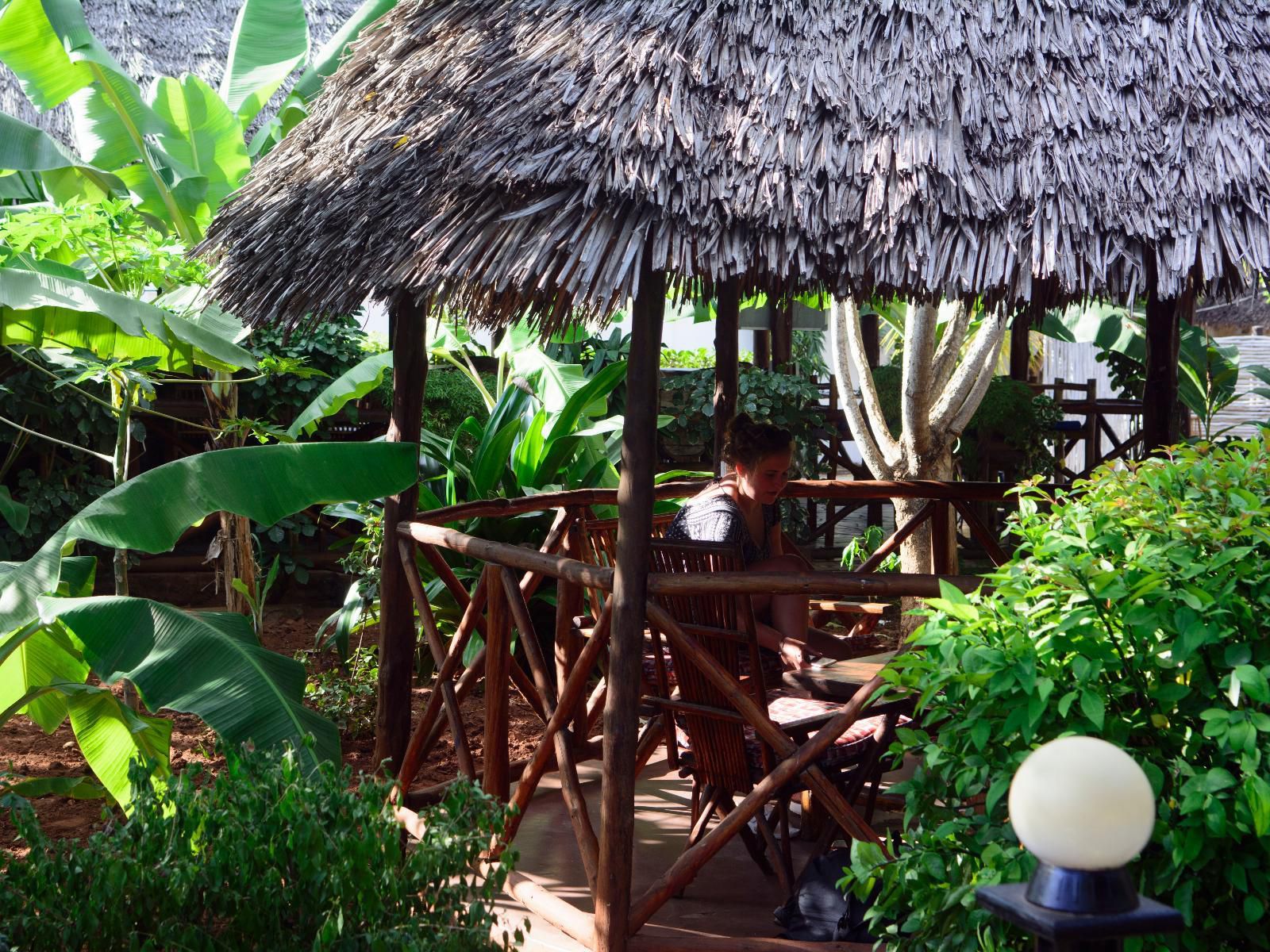 Highland Bungalows, Face, Person, One Face, Palm Tree, Plant, Nature, Wood, Frontal Face