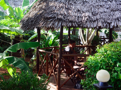 Highland Bungalows, Face, Person, One Face, Palm Tree, Plant, Nature, Wood, Frontal Face