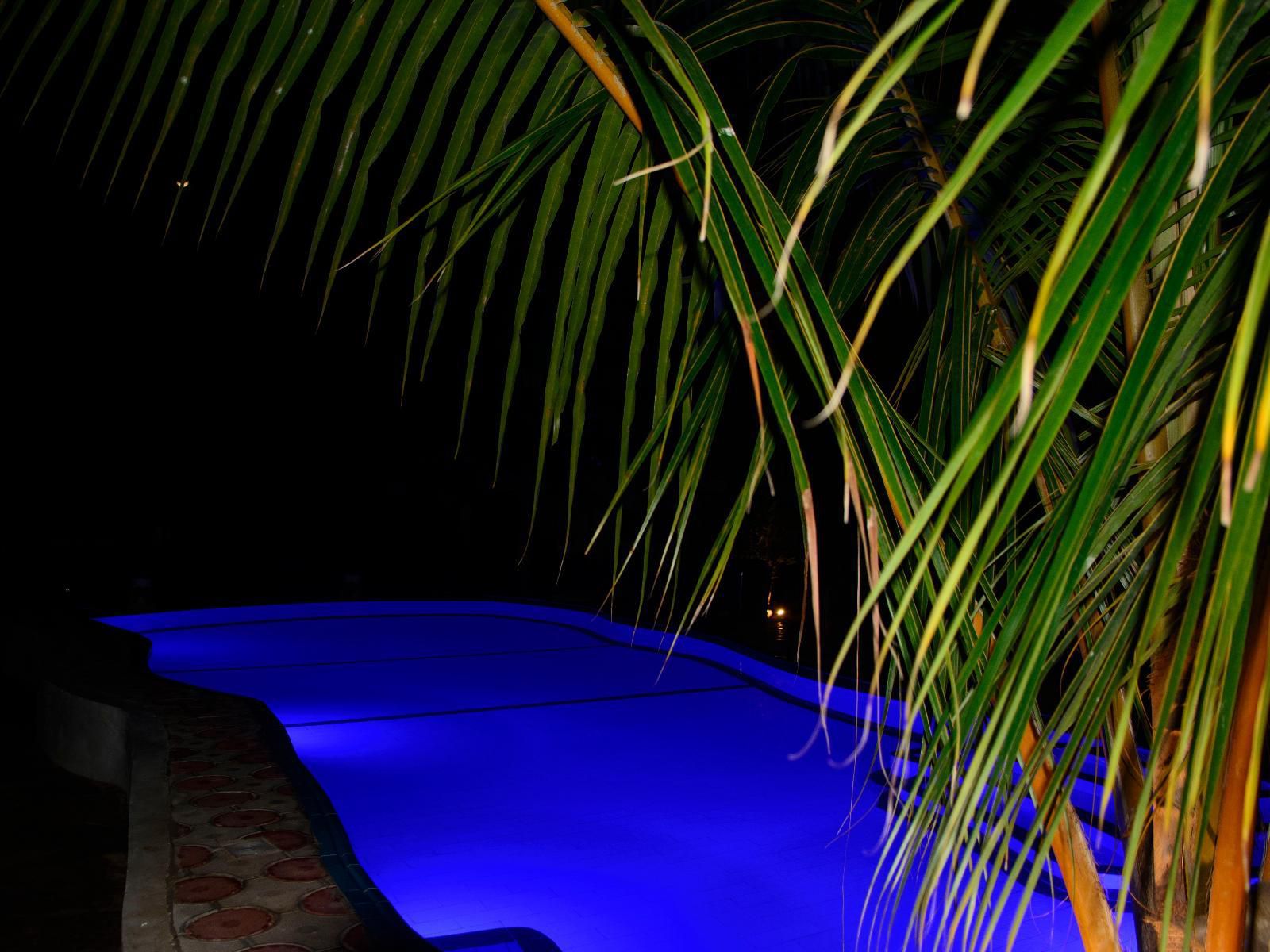 Highland Bungalows, Palm Tree, Plant, Nature, Wood