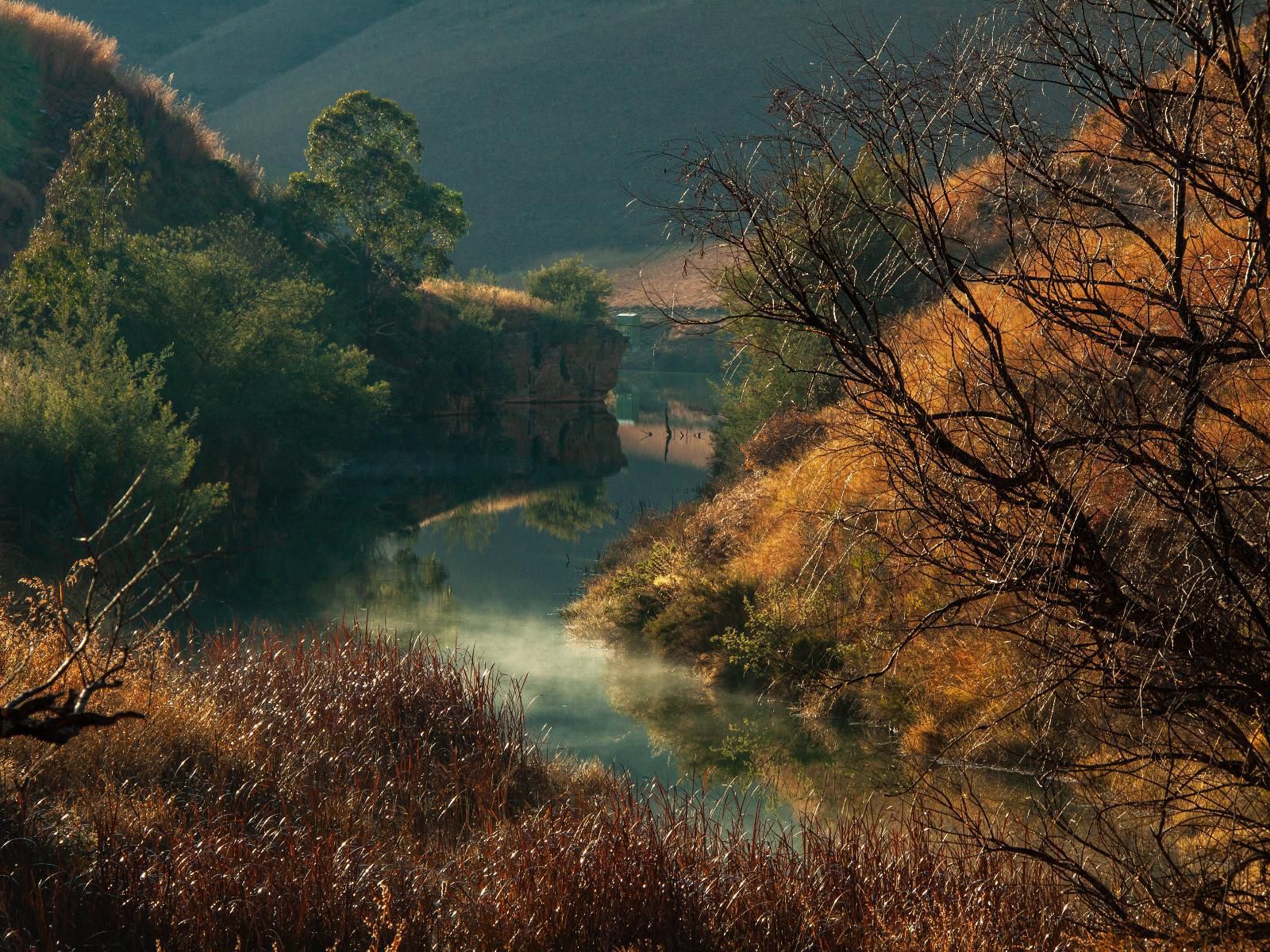 Highland Gate Ferox Creek Dullstroom Mpumalanga South Africa River, Nature, Waters, Tree, Plant, Wood