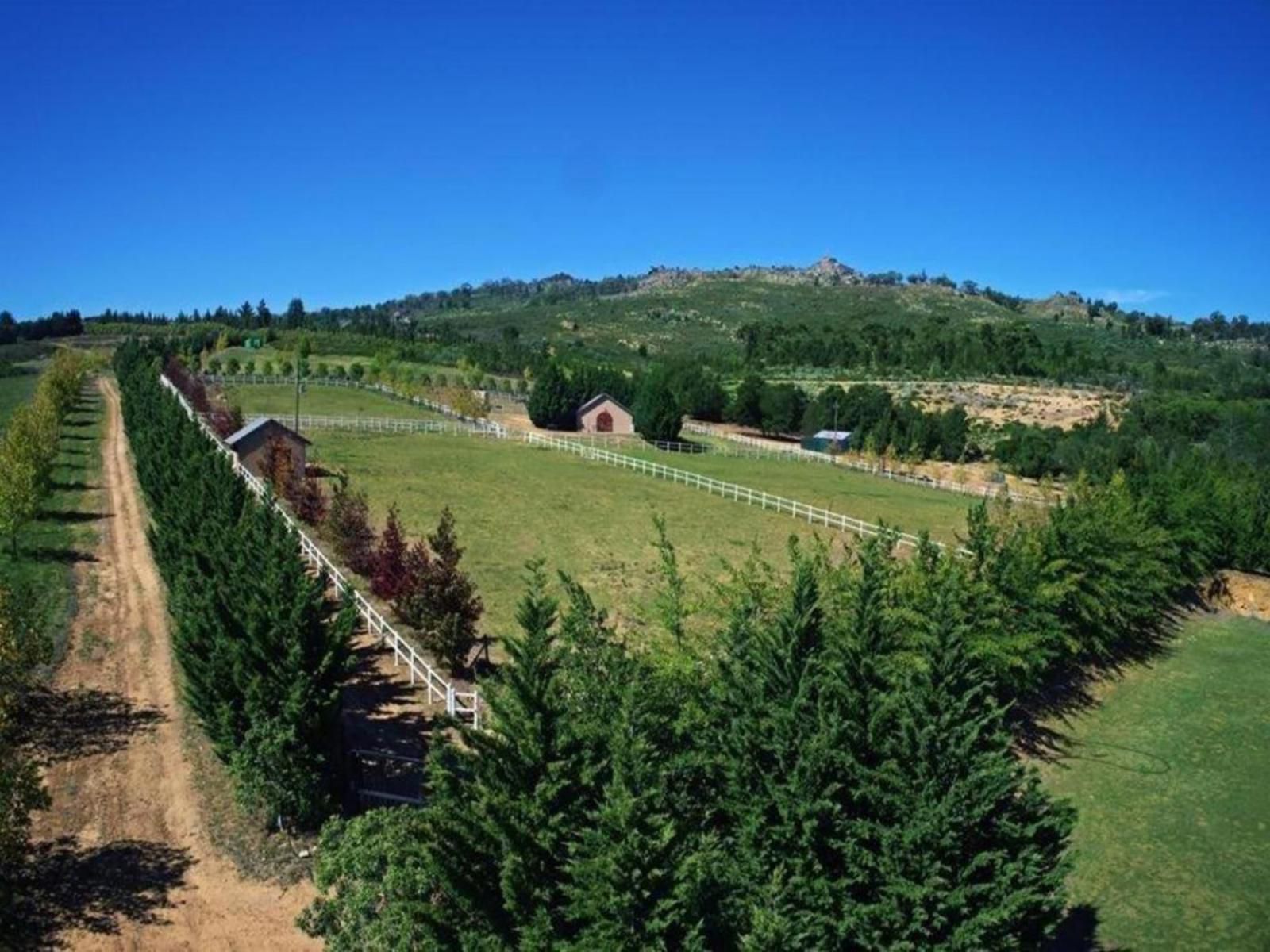 Highlands Eco Estate Piketberg Western Cape South Africa Complementary Colors