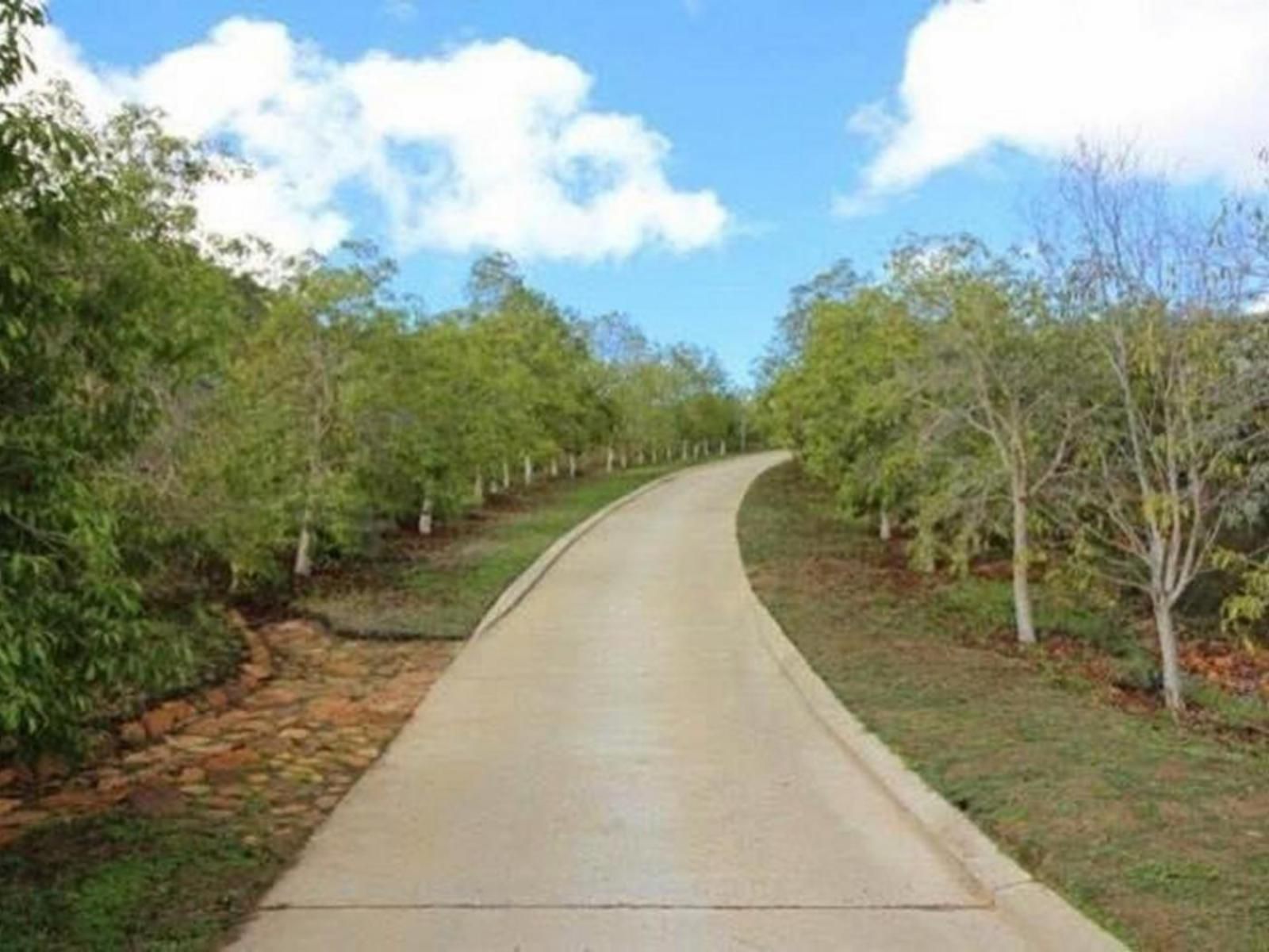 Highlands Eco Estate Piketberg Western Cape South Africa Complementary Colors, Tree, Plant, Nature, Wood, Leading Lines, Street