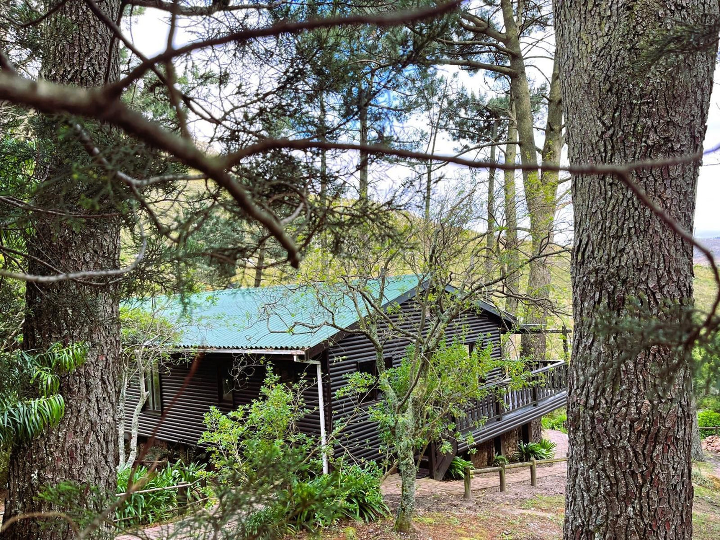 Highlands Lodge Mountain Retreat, Cabin, Building, Architecture, Forest, Nature, Plant, Tree, Wood