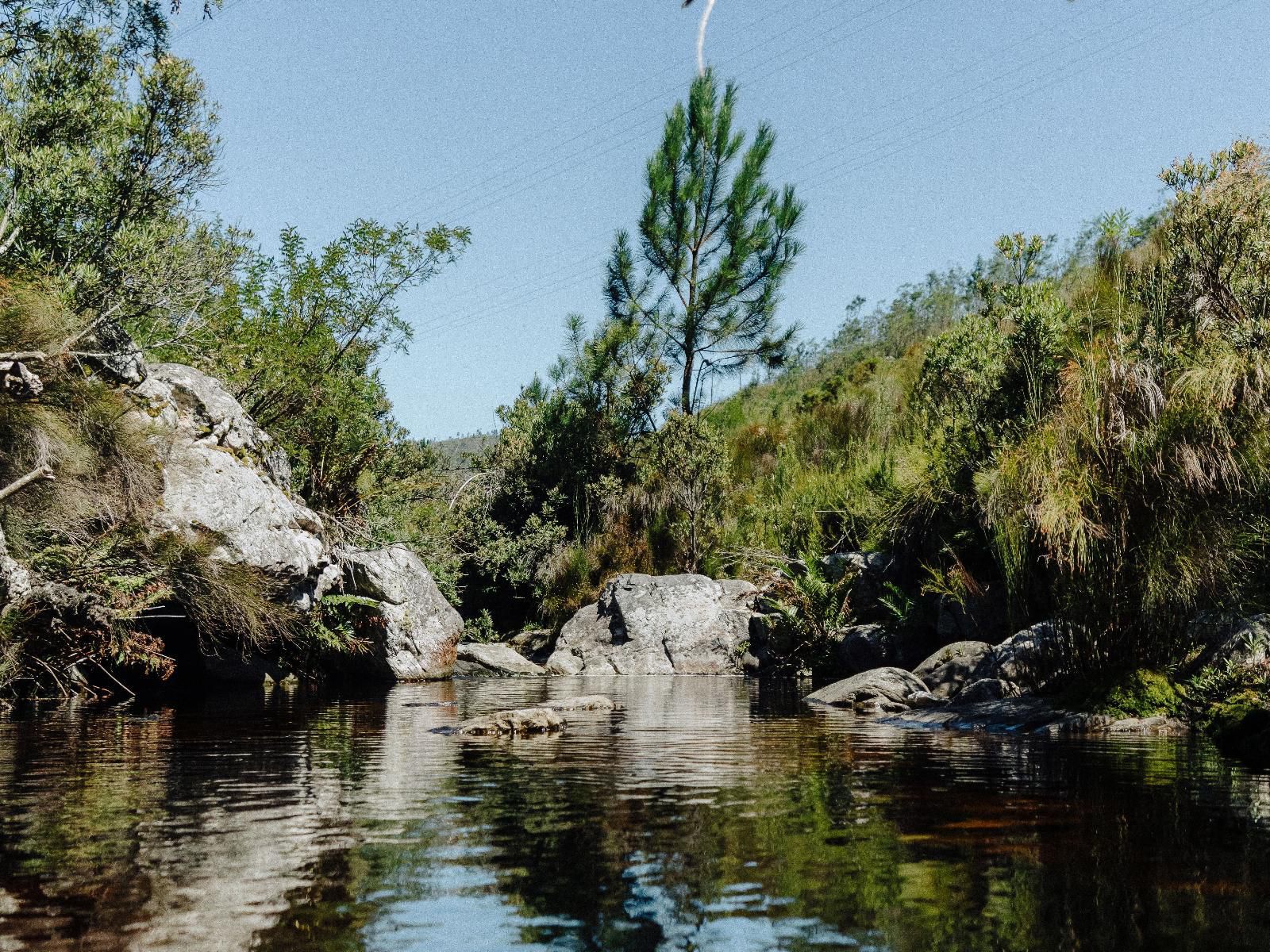 Highlands Lodge Mountain Retreat, River, Nature, Waters