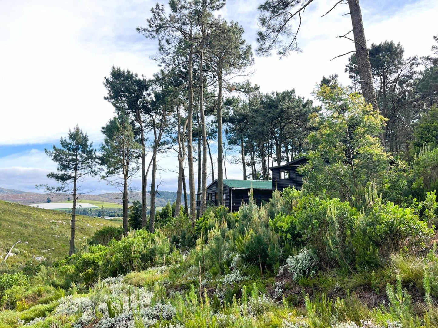 Highlands Lodge Mountain Retreat, Cabin, Building, Architecture