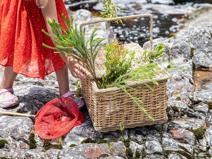 Highlands Lodge Mountain Retreat, Basket