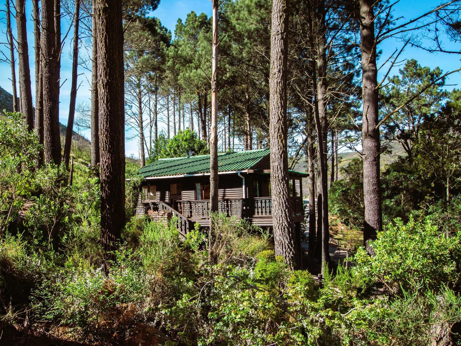 Highlands Lodge Mountain Retreat, Cabin, Building, Architecture, Forest, Nature, Plant, Tree, Wood