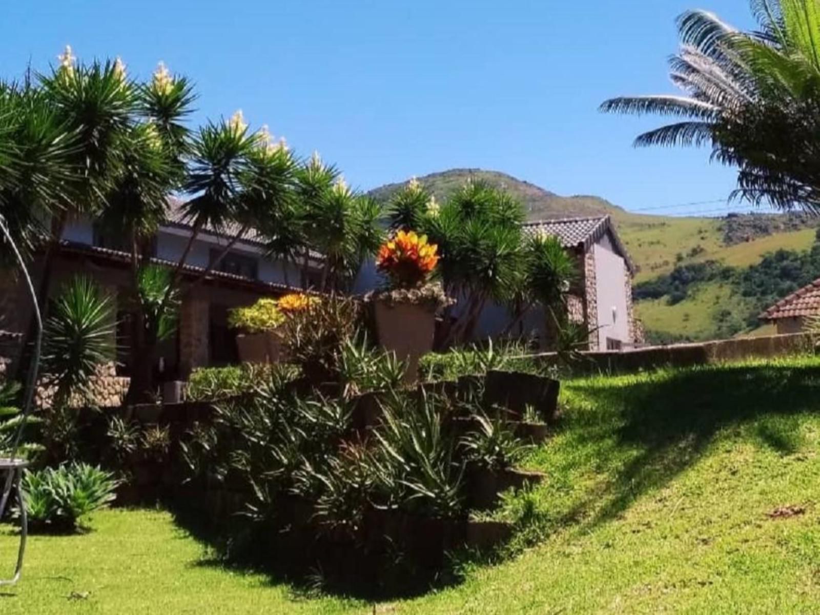 Highlands View Guest House, House, Building, Architecture, Palm Tree, Plant, Nature, Wood