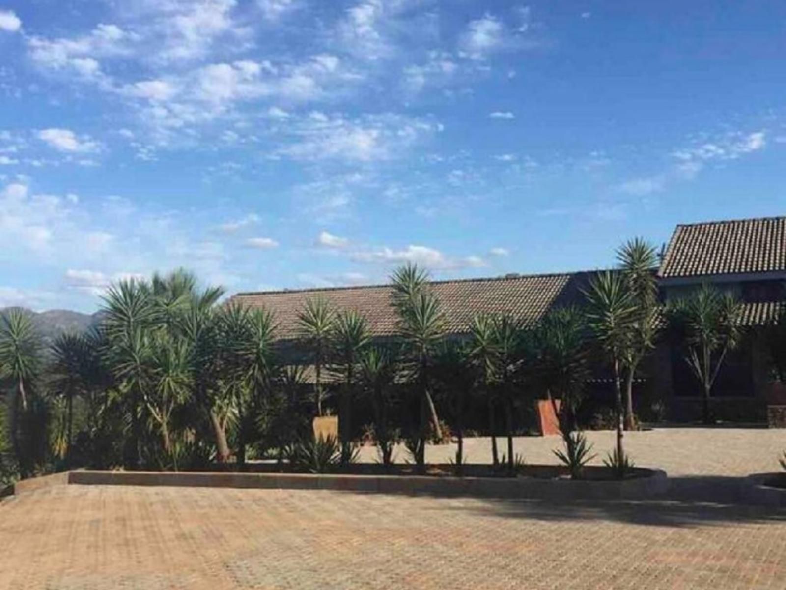 Highlands View Guest House, Palm Tree, Plant, Nature, Wood