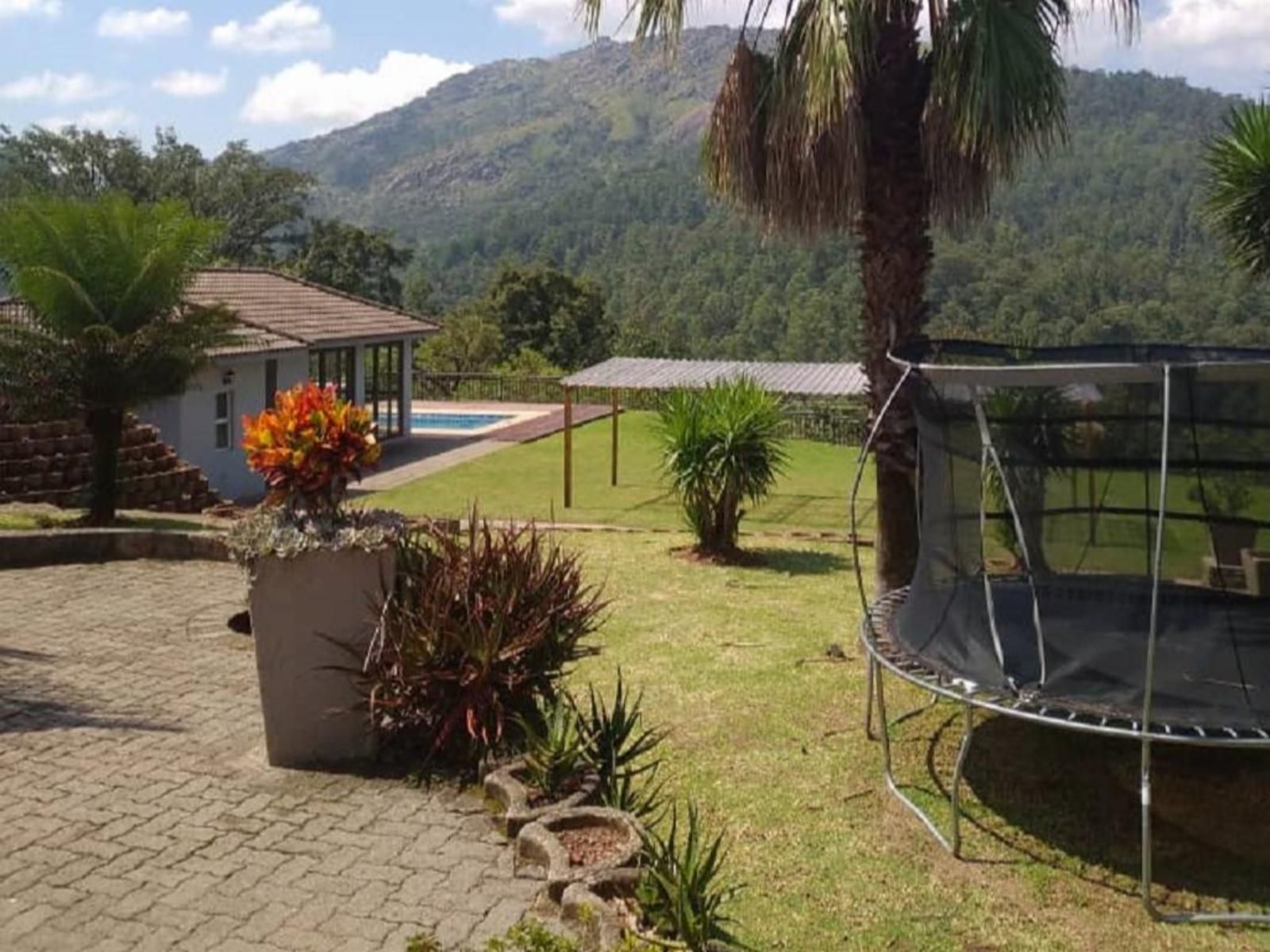 Highlands View Guest House, Mountain, Nature, Palm Tree, Plant, Wood, Highland, Swimming Pool