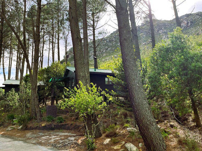 Highlands Lodge Waboomskraal George Western Cape South Africa Cabin, Building, Architecture, Tree, Plant, Nature, Wood