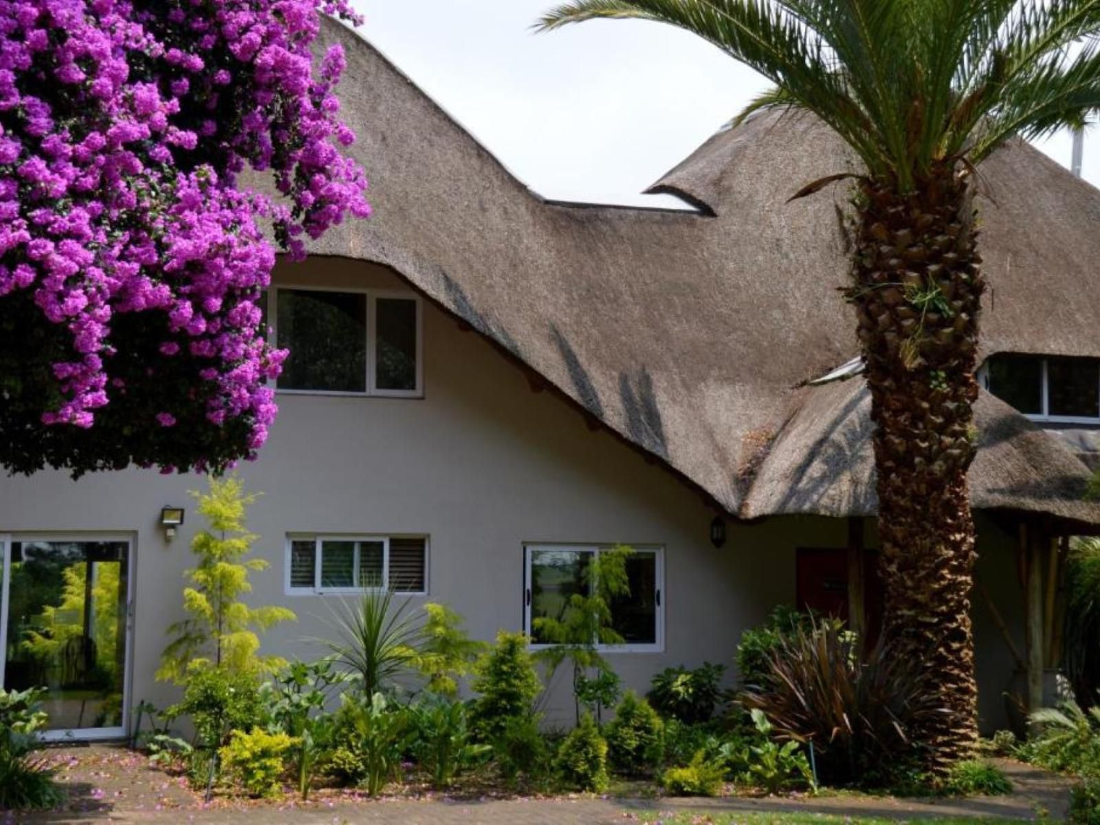 Highveld Splendour Boutique Bed And Breakfast Ermelo Mpumalanga South Africa Building, Architecture, House, Palm Tree, Plant, Nature, Wood