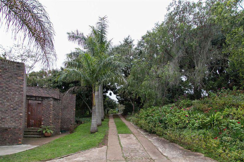 Highview Guesthouse Patensie Eastern Cape South Africa House, Building, Architecture, Palm Tree, Plant, Nature, Wood, Garden