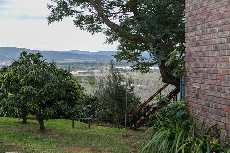 Highview Guesthouse Patensie Eastern Cape South Africa Tree, Plant, Nature, Wood, Garden