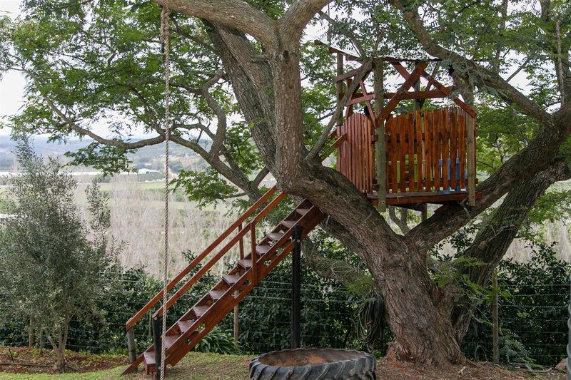 Highview Guesthouse Patensie Eastern Cape South Africa Tree, Plant, Nature, Wood