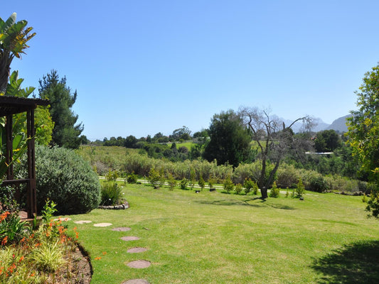 Hildesheim Guest Lodge Hoekwil Wilderness Western Cape South Africa Complementary Colors, Garden, Nature, Plant