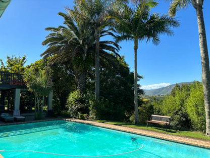 Hildesheim Guest Lodge Hoekwil Wilderness Western Cape South Africa Palm Tree, Plant, Nature, Wood, Swimming Pool