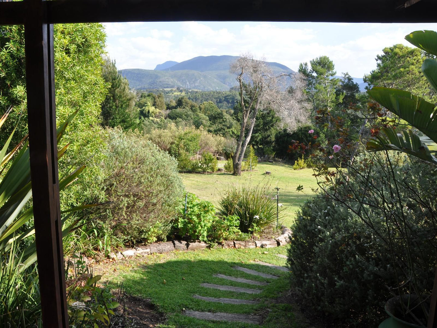 Hildesheim Guest Lodge Hoekwil Wilderness Western Cape South Africa Garden, Nature, Plant