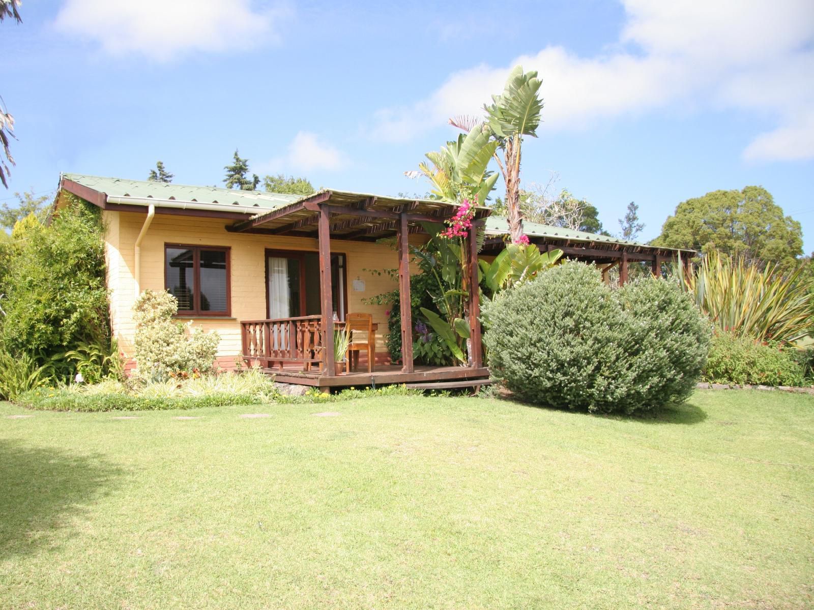 Hildesheim Guest Lodge Hoekwil Wilderness Western Cape South Africa Complementary Colors, Colorful, Building, Architecture, House