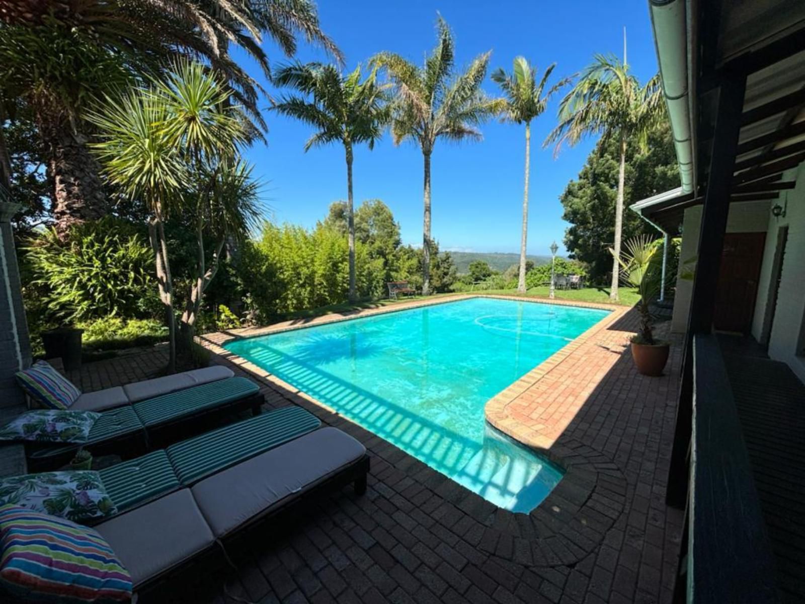 Hildesheim Guest Lodge Hoekwil Wilderness Western Cape South Africa Palm Tree, Plant, Nature, Wood, Garden, Swimming Pool
