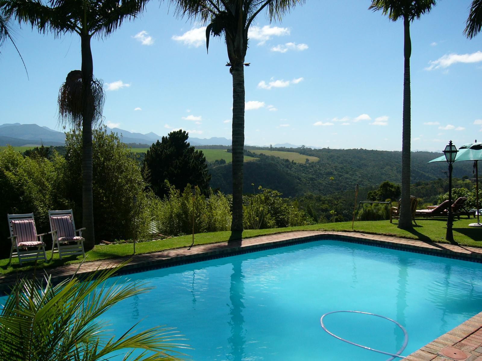 Hildesheim Guest Lodge Hoekwil Wilderness Western Cape South Africa Palm Tree, Plant, Nature, Wood, Swimming Pool