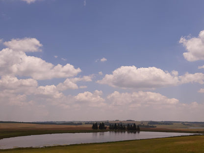 Hillanddale Belfast Mpumalanga South Africa Field, Nature, Agriculture, Sky, Lowland