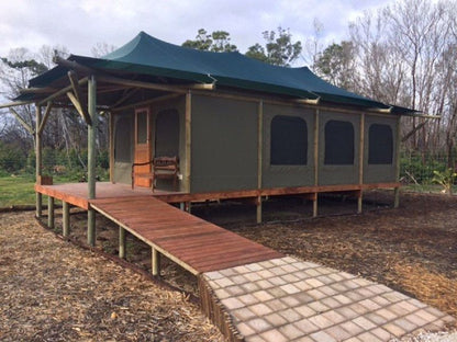 Hillcrest Lodge Tents Nelanga Plettenberg Bay Western Cape South Africa Tent, Architecture