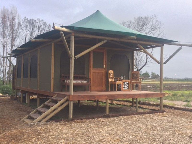 Hillcrest Lodge Tents Sandstone Plettenberg Bay Western Cape South Africa Complementary Colors, Tent, Architecture