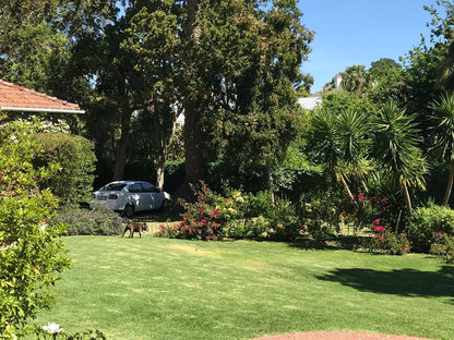 Hillingdale On Alexandra Wynberg Cape Town Western Cape South Africa House, Building, Architecture, Palm Tree, Plant, Nature, Wood, Garden