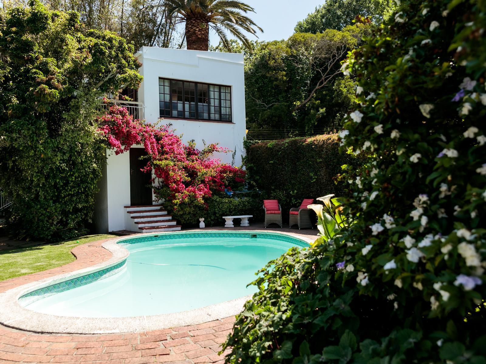 Hillingdale On Alexandra Wynberg Cape Town Western Cape South Africa House, Building, Architecture, Palm Tree, Plant, Nature, Wood, Garden, Swimming Pool