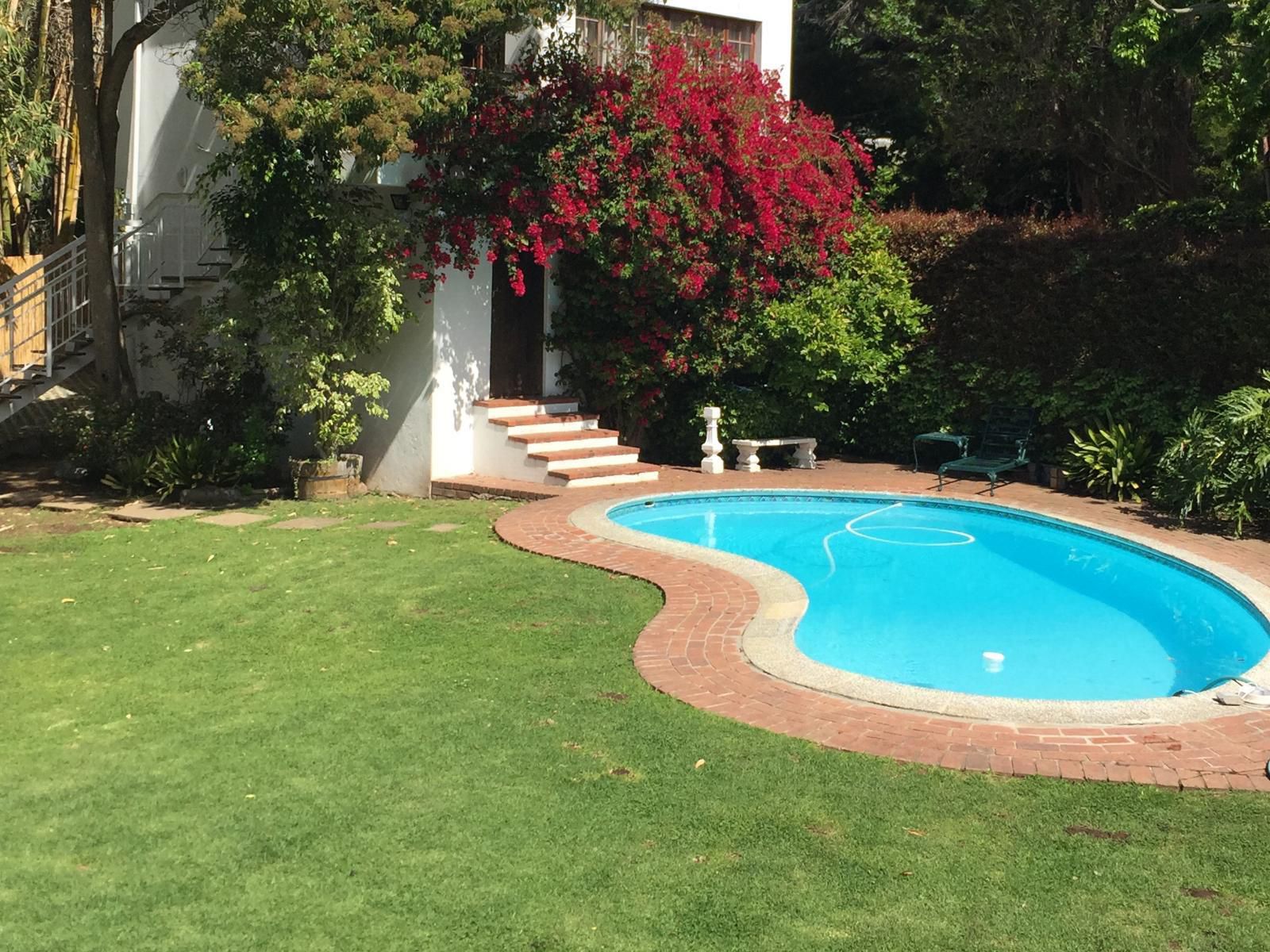 Hillingdale On Alexandra Wynberg Cape Town Western Cape South Africa House, Building, Architecture, Garden, Nature, Plant, Swimming Pool