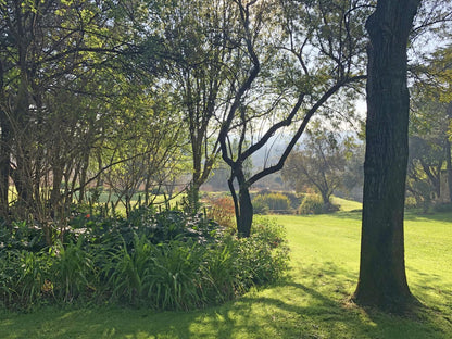 Hills And Dales Accommodation, Plant, Nature, Tree, Wood, Garden