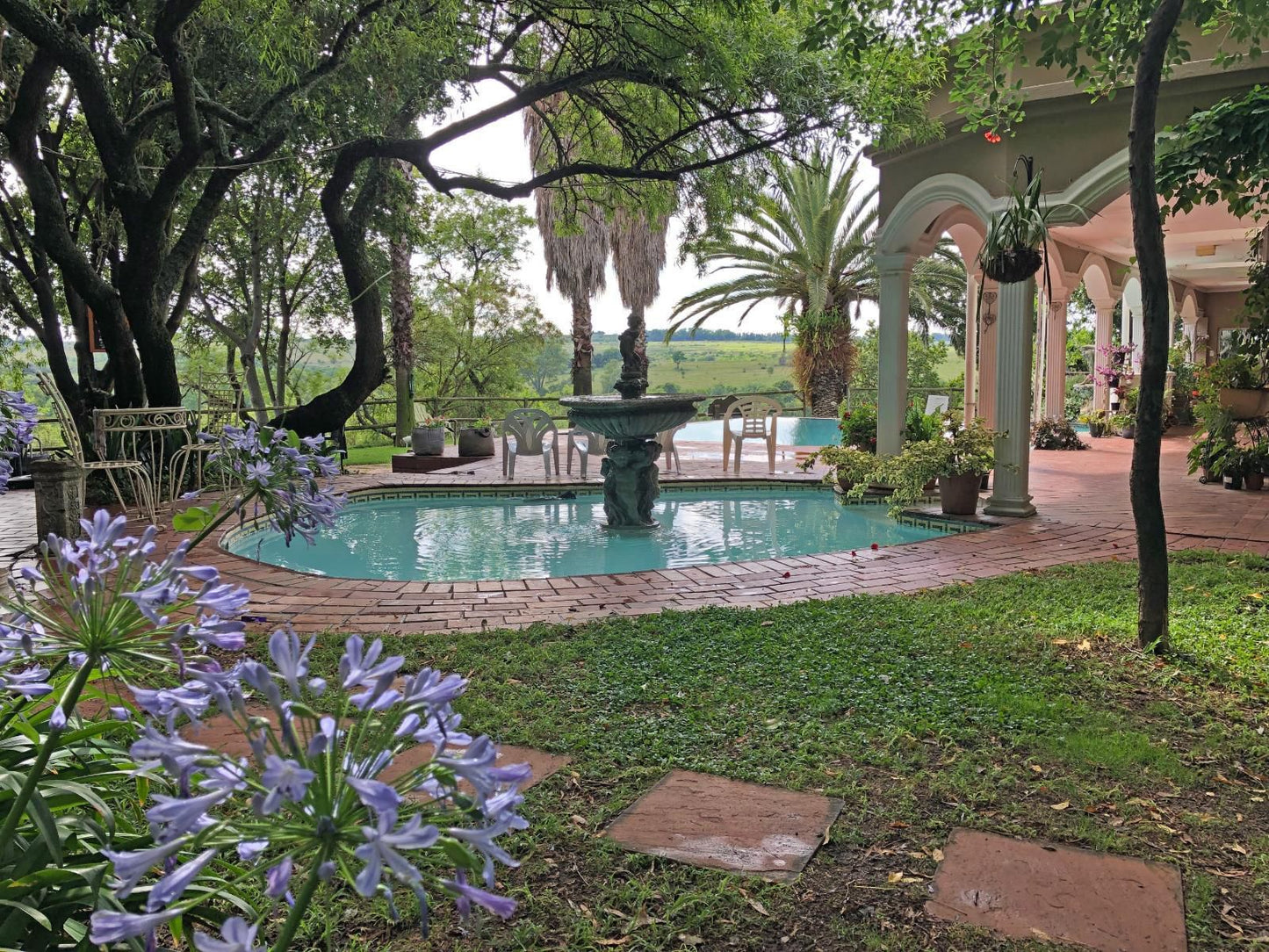 Hills And Dales Accommodation, Palm Tree, Plant, Nature, Wood, Pavilion, Architecture, Garden, Swimming Pool