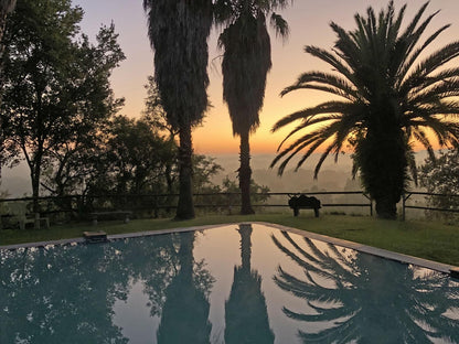 Hills And Dales Accommodation, Palm Tree, Plant, Nature, Wood, Silhouette, Sunset, Sky, Swimming Pool