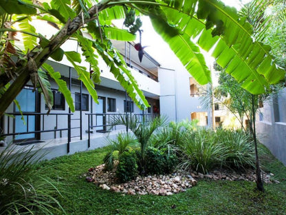 Hillside Executive Accommodation, House, Building, Architecture, Palm Tree, Plant, Nature, Wood, Garden