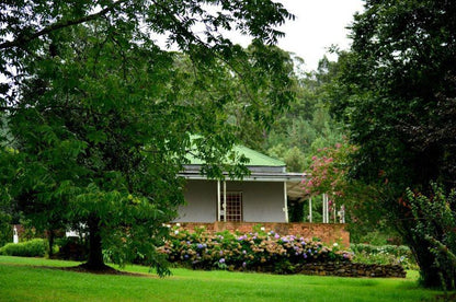 Hillside Lodge Bulwer Kwazulu Natal South Africa House, Building, Architecture, Plant, Nature, Tree, Wood