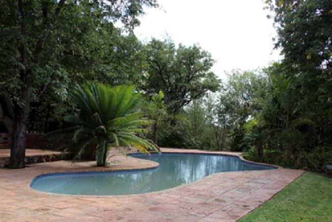 Hillstone Lodge Alldays Limpopo Province South Africa Palm Tree, Plant, Nature, Wood, Garden, Swimming Pool