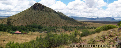 Hillston Farm Cottage Middelburg Eastern Cape Eastern Cape South Africa Nature