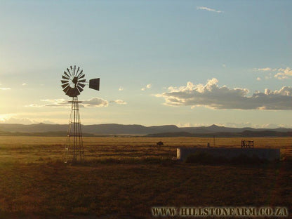 Hillston Farm Cottage Middelburg Eastern Cape Eastern Cape South Africa Lowland, Nature