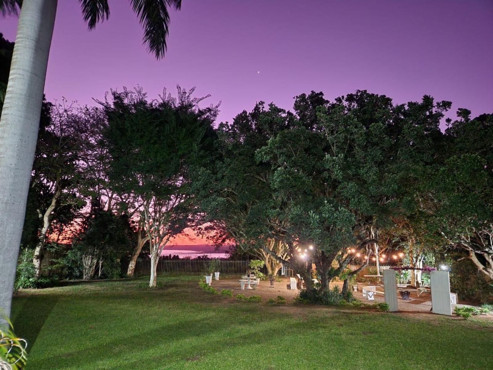 Hillton Manor Guest House Richards Bay Kwazulu Natal South Africa Complementary Colors, Palm Tree, Plant, Nature, Wood